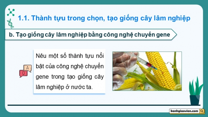 Giáo án điện tử chuyên đề Công nghệ 12 Lâm nghiệp Thuỷ sản Cánh diều Bài 2: Thành tựu và triển vọng của công nghệ sinh học trong lâm nghiệp