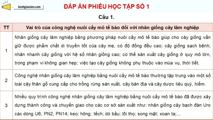 Giáo án điện tử chuyên đề Công nghệ 12 Lâm nghiệp Thuỷ sản Cánh diều Bài 3: Ứng dụng của công nghệ sinh học trong lâm nghiệp