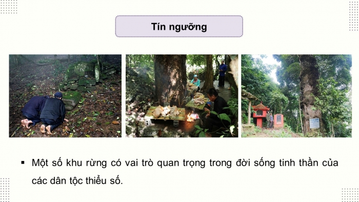 Giáo án điện tử Công nghệ 12 Lâm nghiệp - Thủy sản Kết nối Bài 1: Vai trò và triển vọng của lâm nghiệp