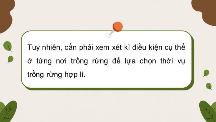 Giáo án điện tử Công nghệ 12 Lâm nghiệp - Thủy sản Kết nối Bài 5: Kĩ thuật trồng và chăm sóc rừng