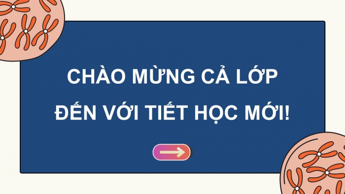 Giáo án điện tử Sinh học 12 cánh diều Bài 6: Đột biến nhiễm sắc thể