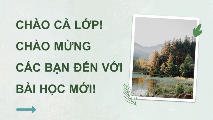 Giáo án điện tử Công nghệ 12 Lâm nghiệp Thủy sản Cánh diều Bài Ôn tập chủ đề 1