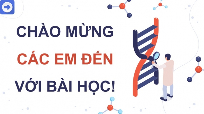 Giáo án điện tử Sinh học 12 kết nối Bài 7: Cấu trúc và chức năng của nhiễm sắc thể