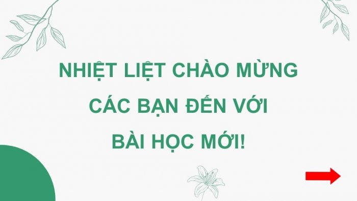 Giáo án điện tử Công nghệ 12 Lâm nghiệp Thủy sản Cánh diều Bài 5: Hoạt động trồng và chăm sóc rừng