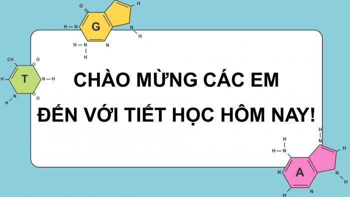 Giáo án điện tử chuyên đề sinh học 12 kết nối bài 3: Công nghệ gene