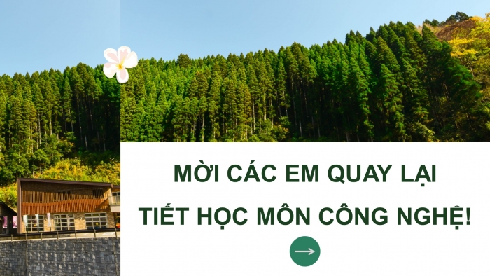 Giáo án điện tử Công nghệ 12 Lâm nghiệp Thủy sản Cánh diều Bài 2: Đặc trưng cơ bản của sản xuất lâm nghiệp