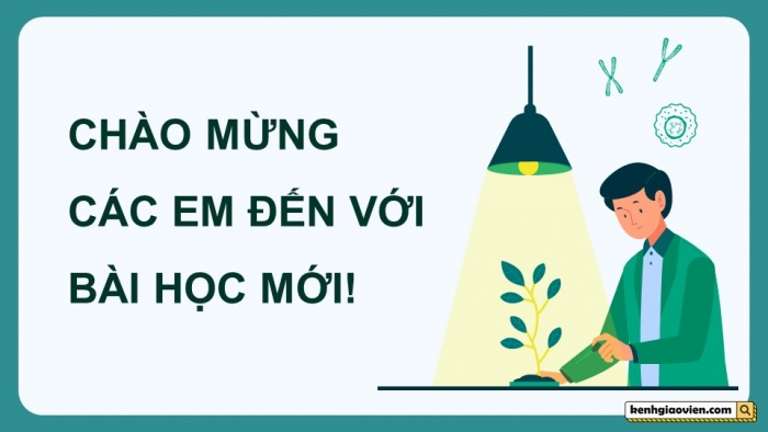 Giáo án điện tử chuyên đề Công nghệ 12 Lâm nghiệp Thuỷ sản Cánh diều Bài 2: Thành tựu và triển vọng của công nghệ sinh học trong lâm nghiệp