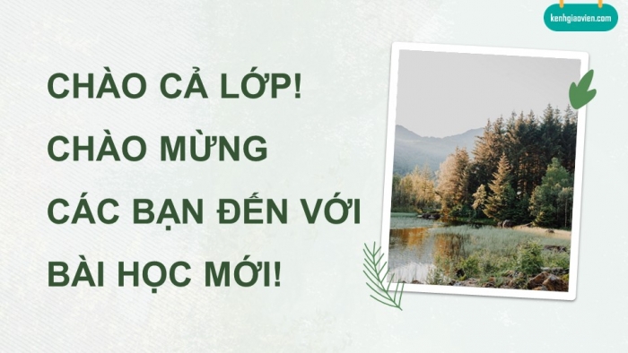 Giáo án điện tử chuyên đề Công nghệ 12 Lâm nghiệp Thuỷ sản Cánh diều Ôn tập CĐ 1