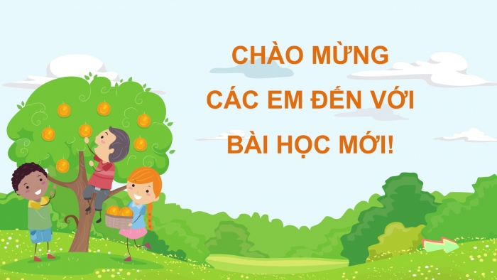 Giáo án điện tử Hoạt động trải nghiệm 5 cánh diều Chủ đề 2: Hành trình khôn lớn - Tuần 5