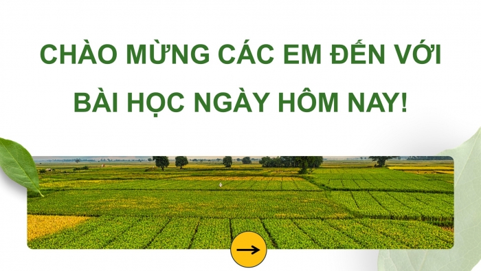 Giáo án điện tử Công nghệ 12 Lâm nghiệp - Thủy sản Kết nối Bài 7: Biện pháp bảo vệ và khai thác tài nguyên rừng