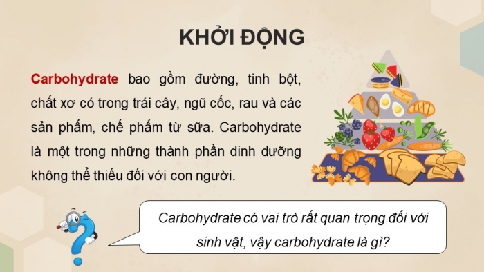 Giáo án điện tử Hóa học 12 cánh diều Bài 3: Giới thiệu về carbohydrate