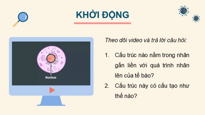 Giáo án điện tử Sinh học 12 cánh diều Bài 5: Nhiễm sắc thể và cơ chế di truyền nhiễm sắc thể