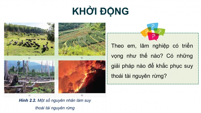 Giáo án điện tử Công nghệ 12 Lâm nghiệp - Thủy sản Kết nối Bài 2: Các hoạt động lâm nghiệp cơ bản và nguyên nhân chủ yếu làm suy thoái tài nguyên rừng