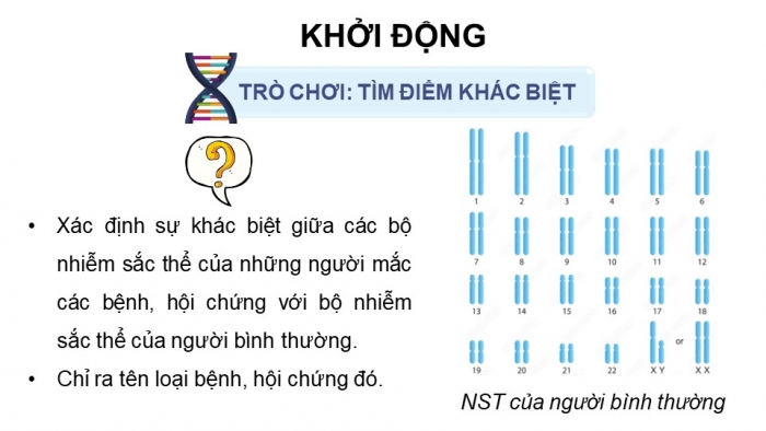 Giáo án điện tử Sinh học 12 chân trời Bài 5: Nhiễm sắc thể và đột biến nhiễm sắc thể