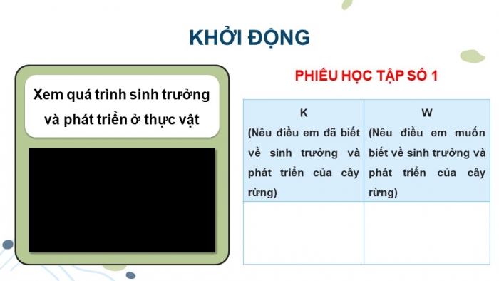 Giáo án điện tử Công nghệ 12 Lâm nghiệp Thủy sản Cánh diều Bài 4: Sinh trưởng và phát triển của cây rừng