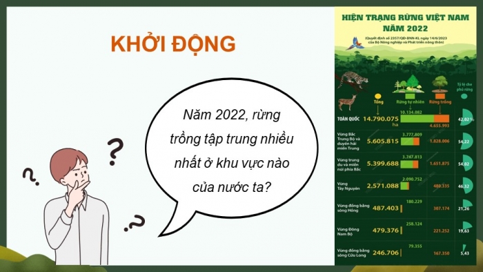 Giáo án điện tử Công nghệ 12 Lâm nghiệp Thủy sản Cánh diều Bài 7: Thực trạng trồng, chăm sóc, bảo vệ và khai thác rừng