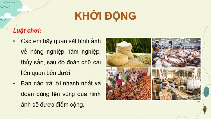 Giáo án điện tử Địa lí 9 cánh diều Bài 4: Nông nghiệp, lâm nghiệp, thủy sản