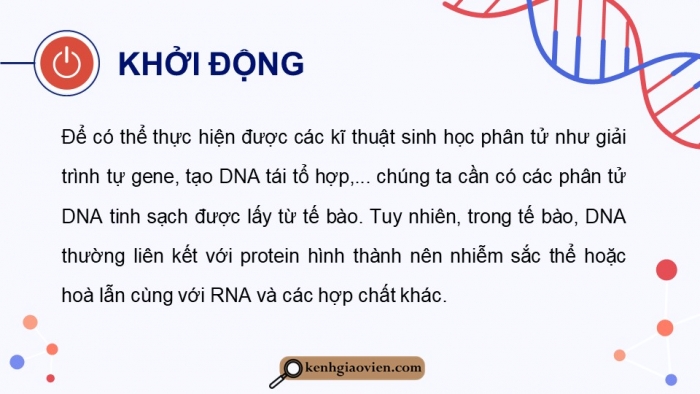 Giáo án điện tử chuyên đề sinh học 12 kết nối bài 2: Phương pháp tách chiết DNA