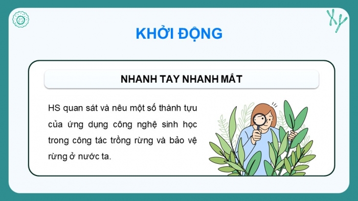 Giáo án điện tử chuyên đề Công nghệ 12 Lâm nghiệp Thuỷ sản Cánh diều Bài 2: Thành tựu và triển vọng của công nghệ sinh học trong lâm nghiệp