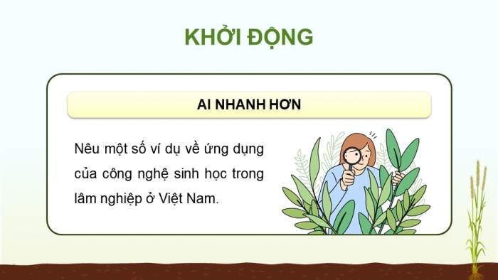 Giáo án điện tử chuyên đề Công nghệ 12 Lâm nghiệp Thuỷ sản Cánh diều Bài 3: Ứng dụng của công nghệ sinh học trong lâm nghiệp