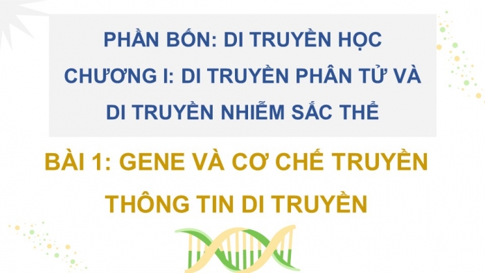 Giáo án điện tử Sinh học 12 chân trời Bài 1: Gene và cơ chế truyền thông tin di truyền (P2)