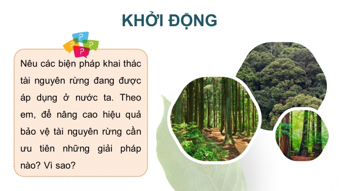 Giáo án điện tử Công nghệ 12 Lâm nghiệp - Thủy sản Kết nối Bài 7: Biện pháp bảo vệ và khai thác tài nguyên rừng