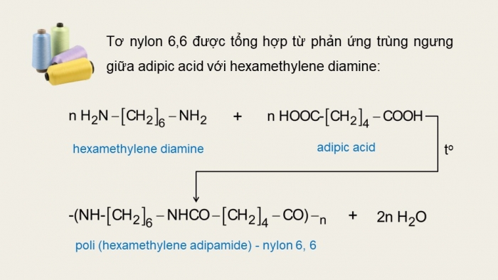 Giáo án điện tử Hóa học 12 cánh diều Bài 5: Amine