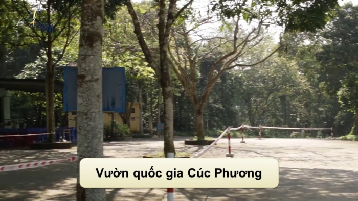 Giáo án điện tử Tiếng Việt 5 kết nối Bài 8: Những điểm vui chơi lí thú