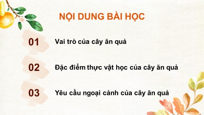 Giáo án điện tử Công nghệ 9 Trồng cây ăn quả Cánh diều Bài 1: Đặc điểm chung của cây ăn quả (P2)