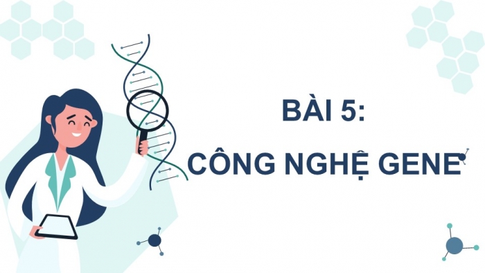 Giáo án điện tử Sinh học 12 kết nối Bài 5: Công nghệ di truyền