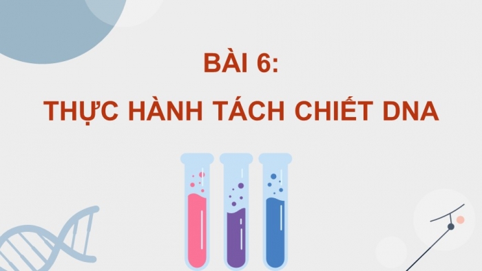 Giáo án điện tử Sinh học 12 kết nối Bài 6: Thực hành Tách chiết DNA