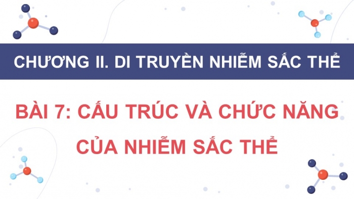 Giáo án điện tử Sinh học 12 kết nối Bài 7: Cấu trúc và chức năng của nhiễm sắc thể