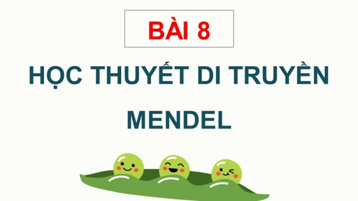 Giáo án điện tử Sinh học 12 kết nối Bài 8: Học thuyết di truyền của Mendel