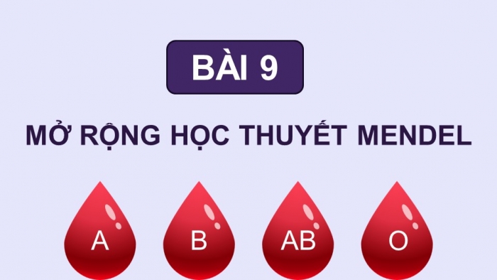 Giáo án điện tử Sinh học 12 kết nối Bài 9: Mở rộng học thuyết Mendel