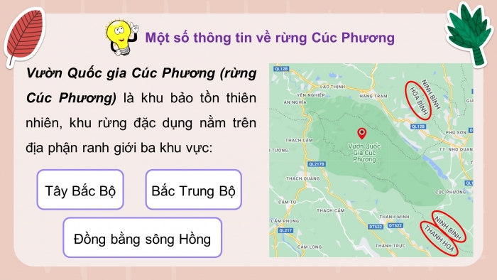 Giáo án điện tử Công nghệ 12 Lâm nghiệp - Thủy sản Kết nối Bài 3: Vai trò, nhiệm vụ của trồng và chăm sóc rừng