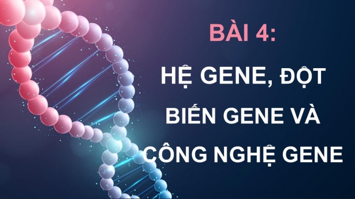 Giáo án điện tử Sinh học 12 chân trời Bài 4: Hệ gene, đột biến gene và công nghệ gene