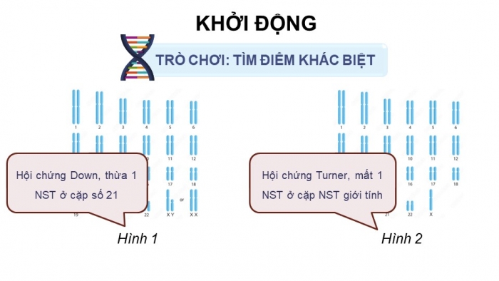 Giáo án điện tử Sinh học 12 chân trời Bài 5: Nhiễm sắc thể và đột biến nhiễm sắc thể