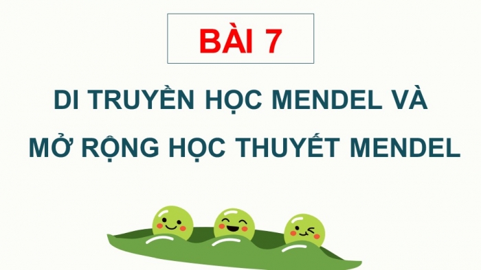 Giáo án điện tử Sinh học 12 chân trời Bài 7: Di truyền học Mendel và mở rộng học thuyết Mendel