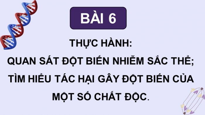 Giáo án điện tử Sinh học 12 chân trời Bài 6: Thực hành Quan sát đột biến nhiễm sắc thể, Tìm hiểu tác hại gây đột biến của một số chất độc