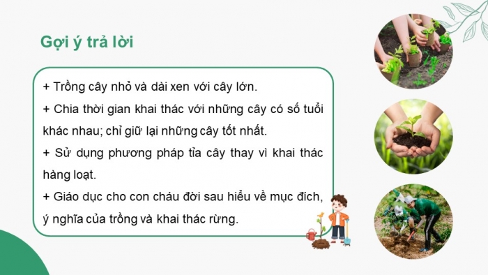 Giáo án điện tử Công nghệ 12 Lâm nghiệp Thủy sản Cánh diều Bài 5: Hoạt động trồng và chăm sóc rừng