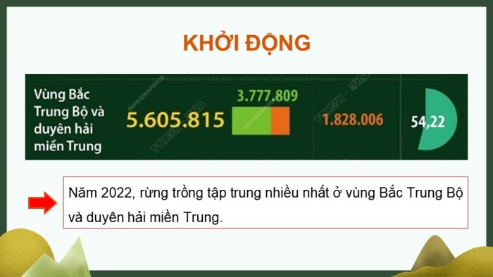 Giáo án điện tử Công nghệ 12 Lâm nghiệp Thủy sản Cánh diều Bài 7: Thực trạng trồng, chăm sóc, bảo vệ và khai thác rừng