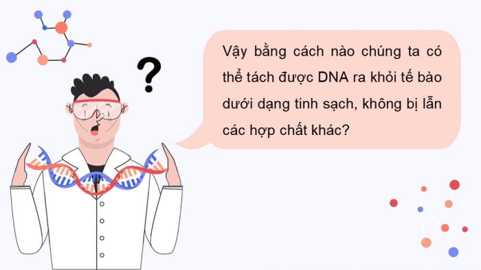 Giáo án điện tử chuyên đề sinh học 12 kết nối bài 2: Phương pháp tách chiết DNA