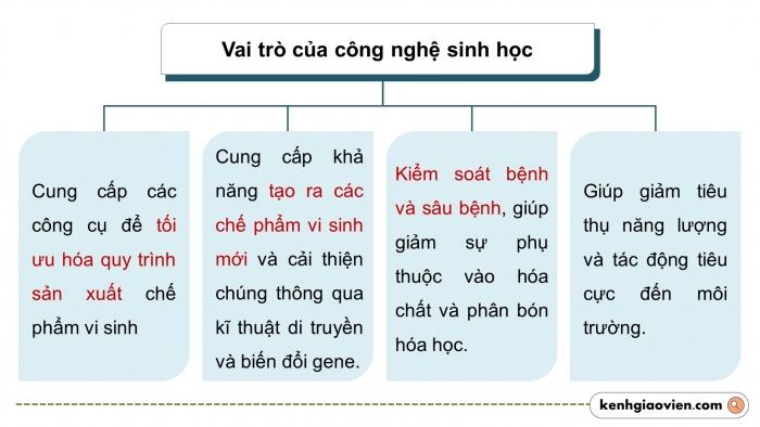 Giáo án điện tử chuyên đề công nghệ 12 lâm nghiệp - thuỷ sản kết nối bài 3: Công nghệ sinh học trong sản xuất chế phẩm vi sinh phục vụ lâm nghiệp