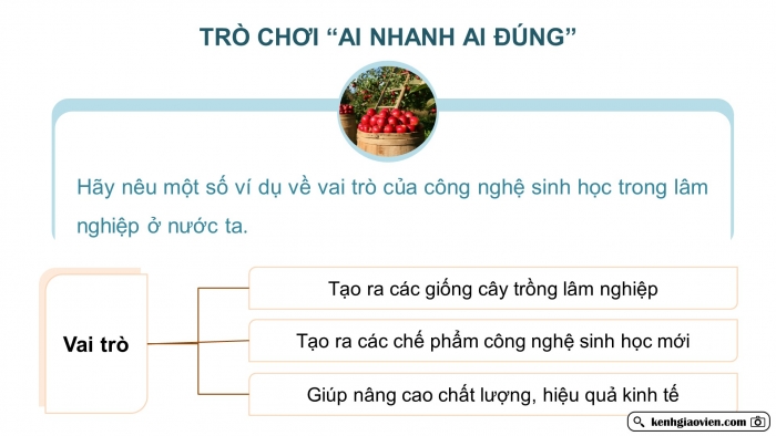 Giáo án điện tử chuyên đề Công nghệ 12 Lâm nghiệp Thuỷ sản Cánh diều Bài 1: Vai trò của công nghệ sinh học trong lâm nghiệp