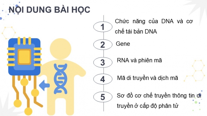 Giáo án điện tử Sinh học 12 chân trời Bài 1: Gene và cơ chế truyền thông tin di truyền (P2)