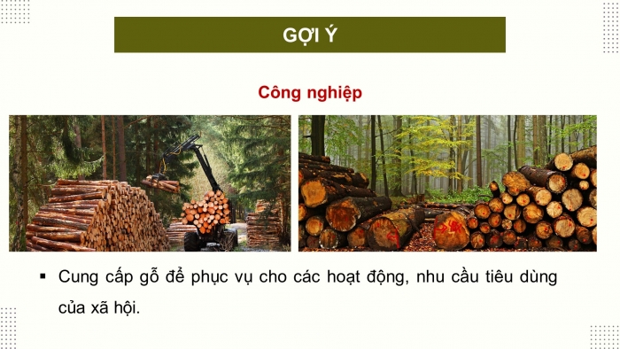 Giáo án điện tử Công nghệ 12 Lâm nghiệp - Thủy sản Kết nối Bài 1: Vai trò và triển vọng của lâm nghiệp