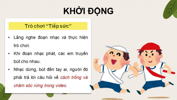 Giáo án điện tử Công nghệ 12 Lâm nghiệp - Thủy sản Kết nối Bài 5: Kĩ thuật trồng và chăm sóc rừng