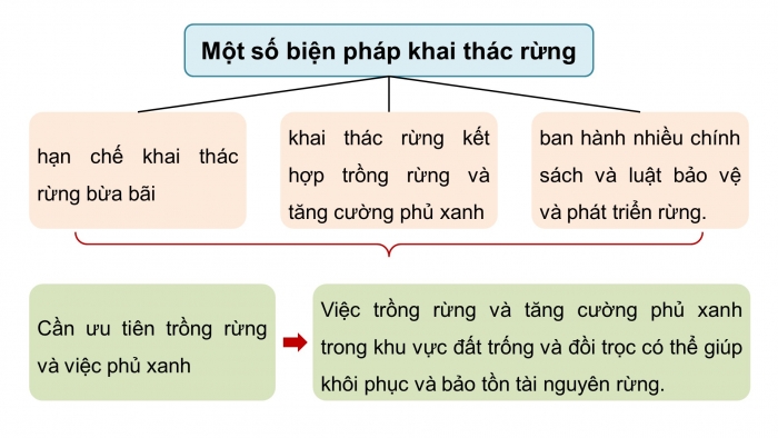 Giáo án điện tử Công nghệ 12 Lâm nghiệp - Thủy sản Kết nối Bài 7: Biện pháp bảo vệ và khai thác tài nguyên rừng