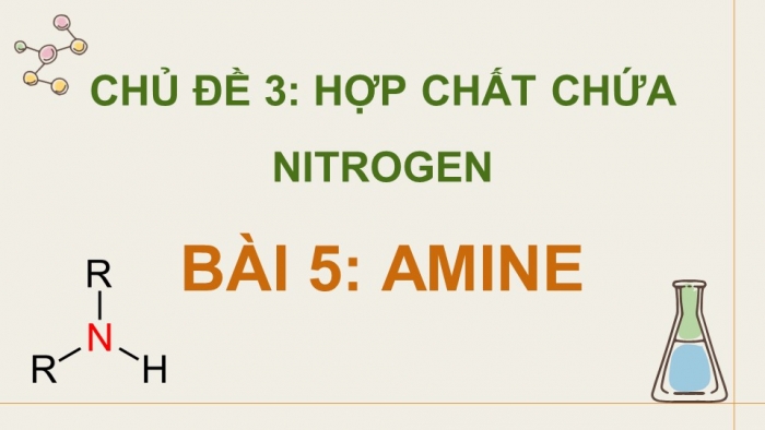 Giáo án điện tử Hóa học 12 cánh diều Bài 5: Amine