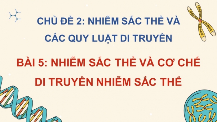 Giáo án điện tử Sinh học 12 cánh diều Bài 5: Nhiễm sắc thể và cơ chế di truyền nhiễm sắc thể